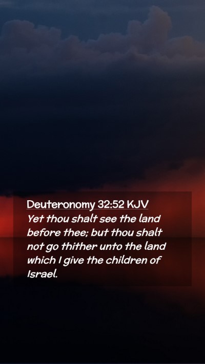 Picture 02 - Deuteronomy 32:52 KJV Mobile Phone Wallpaper - Yet thou shalt see the land before thee; but thou - Mobile Bible Verse Wallpaper