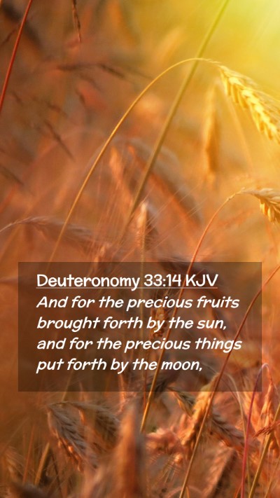 Picture 02 - Deuteronomy 33:14 KJV Mobile Phone Wallpaper - And for the precious fruits brought forth by the - Mobile Bible Verse Wallpaper