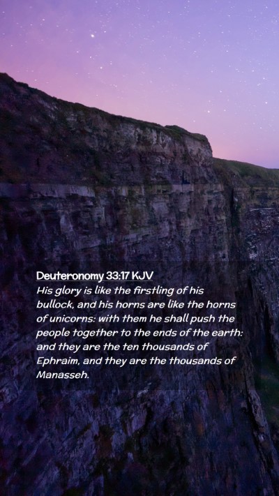 Picture 02 - Deuteronomy 33:17 KJV Mobile Phone Wallpaper - His glory is like the firstling of his bullock, - Mobile Bible Verse Wallpaper