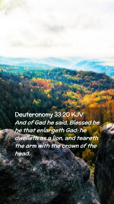 Picture 02 - Deuteronomy 33:20 KJV Mobile Phone Wallpaper - And of Gad he said, Blessed be he that enlargeth - Mobile Bible Verse Wallpaper