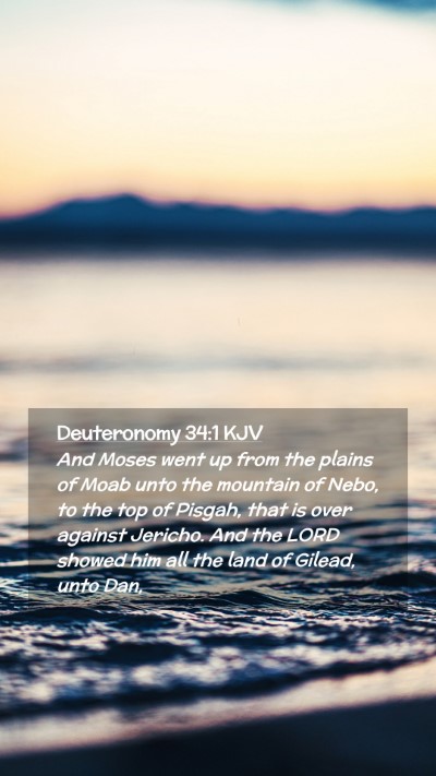 Picture 02 - Deuteronomy 34:1 KJV Mobile Phone Wallpaper - And Moses went up from the plains of Moab unto - Mobile Bible Verse Wallpaper