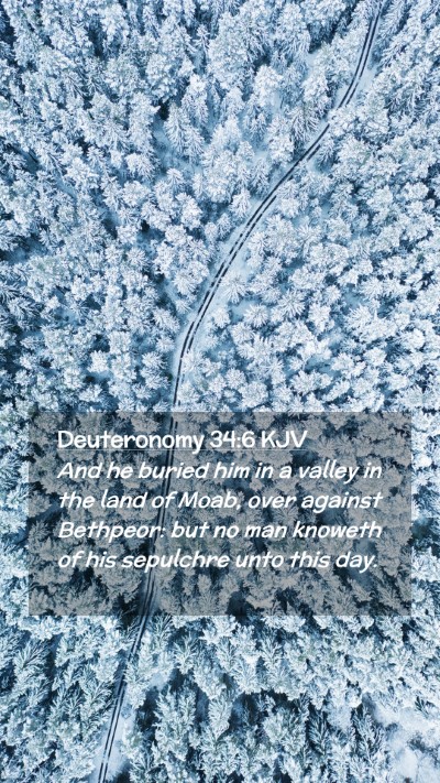 Picture 02 - Deuteronomy 34:6 KJV Mobile Phone Wallpaper - And he buried him in a valley in the land of - Mobile Bible Verse Wallpaper