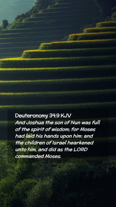 Picture 02 - Deuteronomy 34:9 KJV Mobile Phone Wallpaper - And Joshua the son of Nun was full of the spirit - Mobile Bible Verse Wallpaper