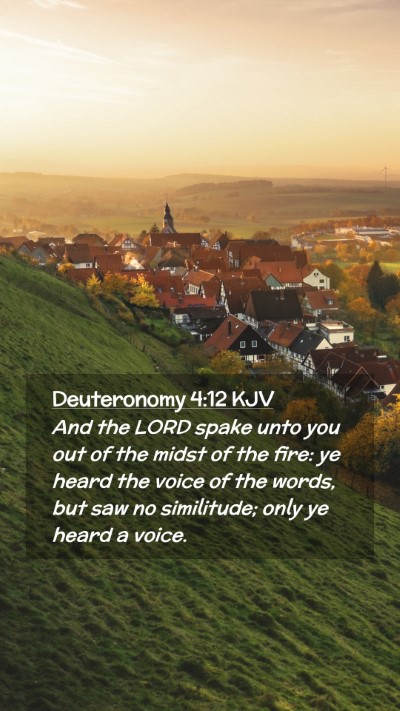 Picture 02 - Deuteronomy 4:12 KJV Mobile Phone Wallpaper - And the LORD spake unto you out of the midst of - Mobile Bible Verse Wallpaper