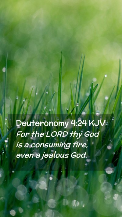 Picture 02 - Deuteronomy 4:24 KJV Mobile Phone Wallpaper - For the LORD thy God is a consuming fire, even a - Mobile Bible Verse Wallpaper