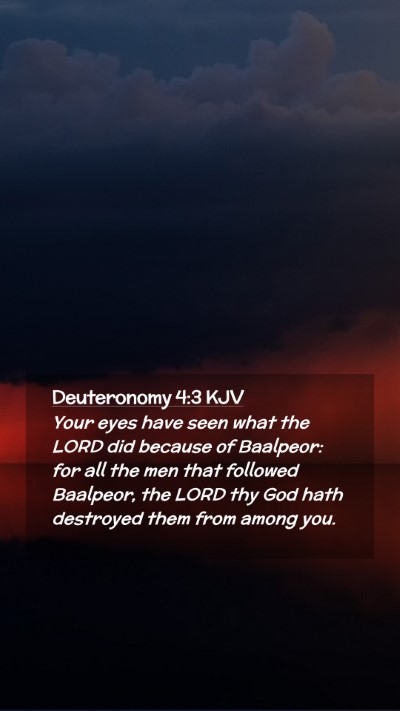 Picture 02 - Deuteronomy 4:3 KJV Mobile Phone Wallpaper - Your eyes have seen what the LORD did because of - Mobile Bible Verse Wallpaper