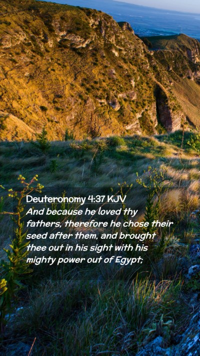 Picture 02 - Deuteronomy 4:37 KJV Mobile Phone Wallpaper - And because he loved thy fathers, therefore he - Mobile Bible Verse Wallpaper