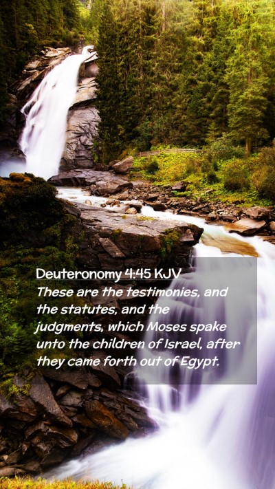 Picture 02 - Deuteronomy 4:45 KJV Mobile Phone Wallpaper - These are the testimonies, and the statutes, and - Mobile Bible Verse Wallpaper