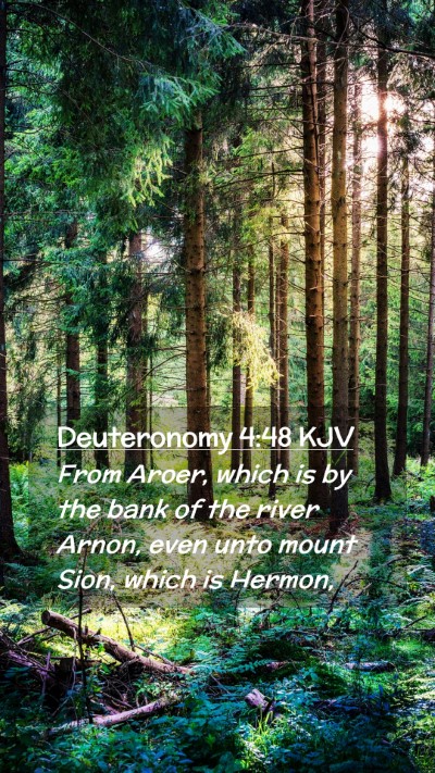 Picture 02 - Deuteronomy 4:48 KJV Mobile Phone Wallpaper - From Aroer, which is by the bank of the river - Mobile Bible Verse Wallpaper