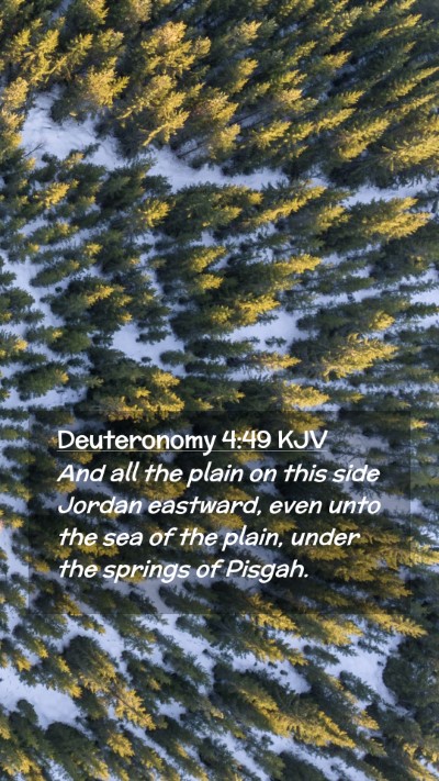 Picture 02 - Deuteronomy 4:49 KJV Mobile Phone Wallpaper - And all the plain on this side Jordan eastward, - Mobile Bible Verse Wallpaper