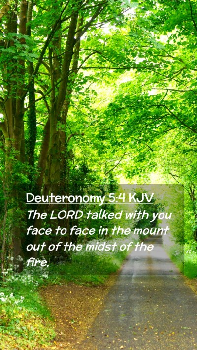 Picture 02 - Deuteronomy 5:4 KJV Mobile Phone Wallpaper - The LORD talked with you face to face in the - Mobile Bible Verse Wallpaper