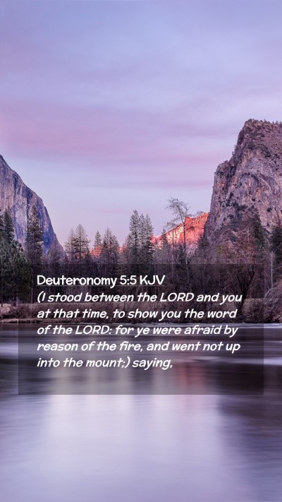Picture 02 - Deuteronomy 5:5 KJV Mobile Phone Wallpaper - (I stood between the LORD and you at that time, - Mobile Bible Verse Wallpaper