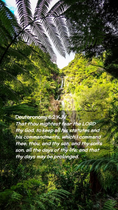 Picture 02 - Deuteronomy 6:2 KJV Mobile Phone Wallpaper - That thou mightest fear the LORD thy God, to keep - Mobile Bible Verse Wallpaper