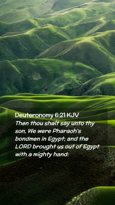 Picture 02 - Deuteronomy 6:21 KJV Mobile Phone Wallpaper - Then thou shalt say unto thy son, We were - Mobile Bible Verse Wallpaper