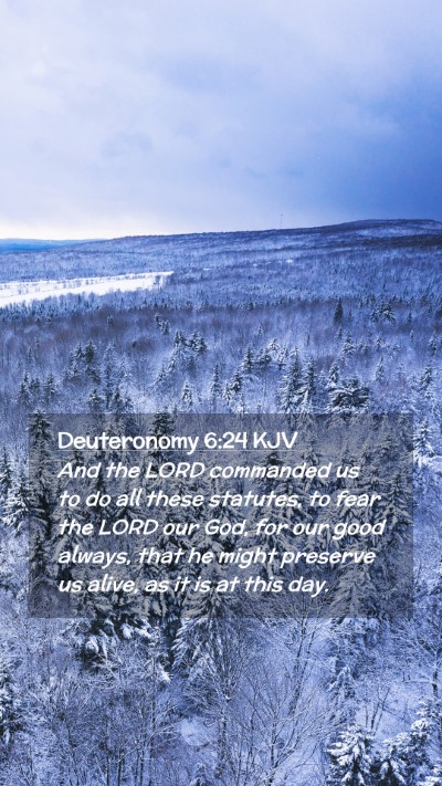 Picture 02 - Deuteronomy 6:24 KJV Mobile Phone Wallpaper - And the LORD commanded us to do all these - Mobile Bible Verse Wallpaper