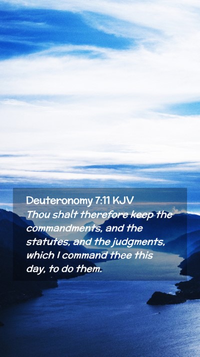 Picture 02 - Deuteronomy 7:11 KJV Mobile Phone Wallpaper - Thou shalt therefore keep the commandments, and - Mobile Bible Verse Wallpaper