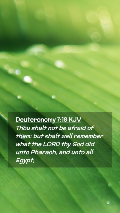 Picture 02 - Deuteronomy 7:18 KJV Mobile Phone Wallpaper - Thou shalt not be afraid of them: but shalt well - Mobile Bible Verse Wallpaper