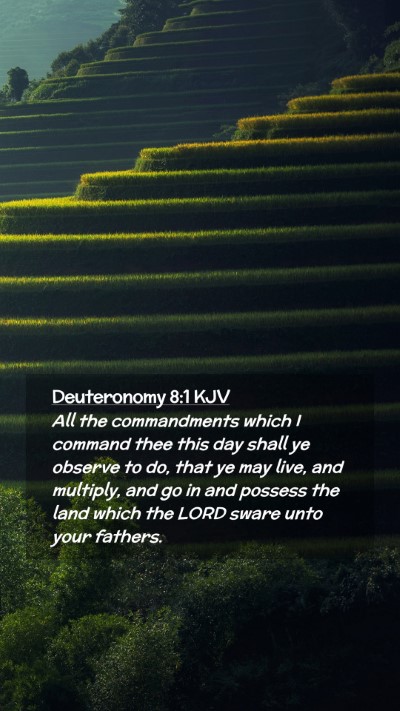 Picture 02 - Deuteronomy 8:1 KJV Mobile Phone Wallpaper - All the commandments which I command thee this - Mobile Bible Verse Wallpaper