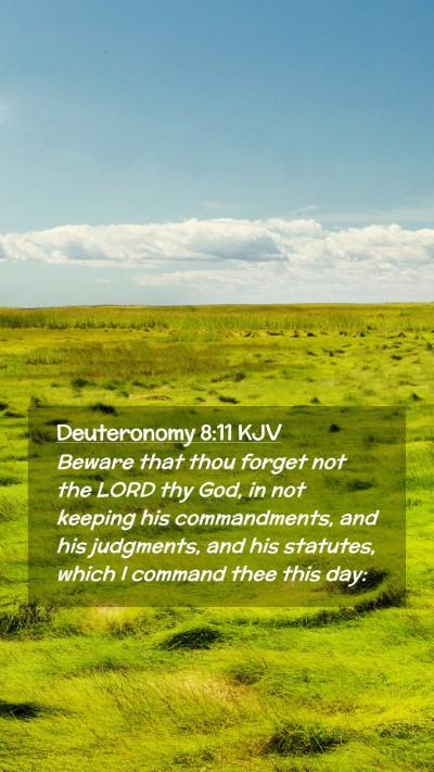 Picture 02 - Deuteronomy 8:11 KJV Mobile Phone Wallpaper - Beware that thou forget not the LORD thy God, in - Mobile Bible Verse Wallpaper