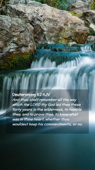 Picture 02 - Deuteronomy 8:2 KJV Mobile Phone Wallpaper - And thou shalt remember all the way which the - Mobile Bible Verse Wallpaper