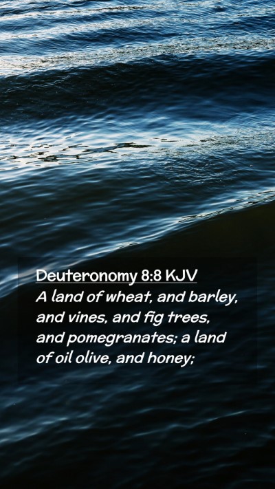 Picture 02 - Deuteronomy 8:8 KJV Mobile Phone Wallpaper - A land of wheat, and barley, and vines, and fig - Mobile Bible Verse Wallpaper