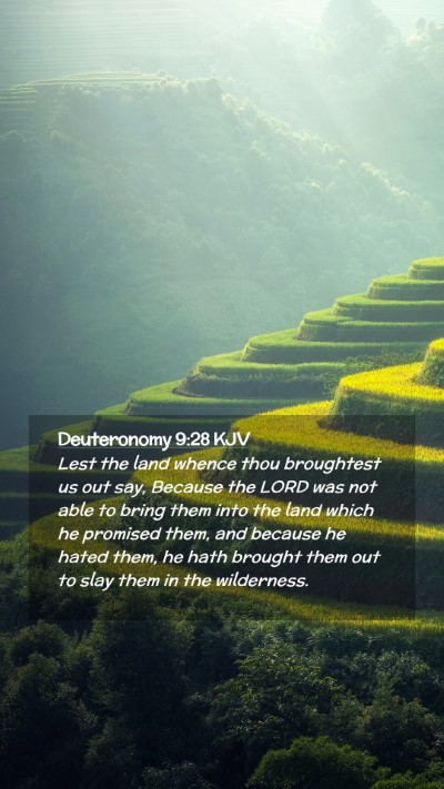 Picture 02 - Deuteronomy 9:28 KJV Mobile Phone Wallpaper - Lest the land whence thou broughtest us out say, - Mobile Bible Verse Wallpaper