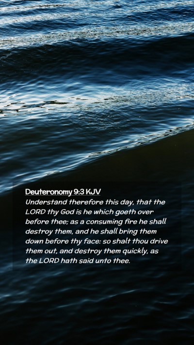 Picture 02 - Deuteronomy 9:3 KJV Mobile Phone Wallpaper - Understand therefore this day, that the LORD thy - Mobile Bible Verse Wallpaper