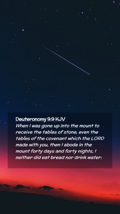 Picture 02 - Deuteronomy 9:9 KJV Mobile Phone Wallpaper - When I was gone up into the mount to receive the - Mobile Bible Verse Wallpaper