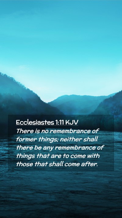 Picture 02 - Ecclesiastes 1:11 KJV Mobile Phone Wallpaper - There is no remembrance of former things; neither - Mobile Bible Verse Wallpaper