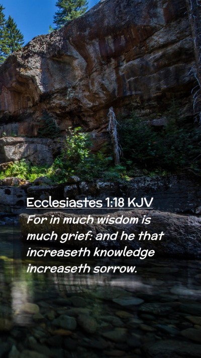 Picture 02 - Ecclesiastes 1:18 KJV Mobile Phone Wallpaper - For in much wisdom is much grief: and he that - Mobile Bible Verse Wallpaper