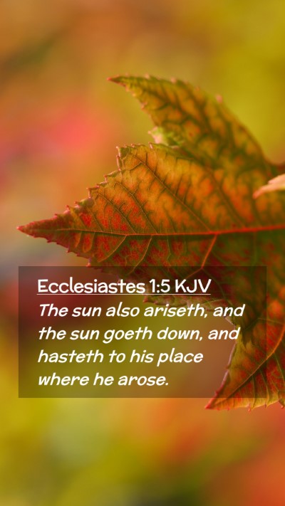 Picture 02 - Ecclesiastes 1:5 KJV Mobile Phone Wallpaper - The sun also ariseth, and the sun goeth down, and - Mobile Bible Verse Wallpaper