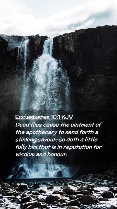 Picture 02 - Ecclesiastes 10:1 KJV Mobile Phone Wallpaper - Dead flies cause the ointment of the apothecary - Mobile Bible Verse Wallpaper