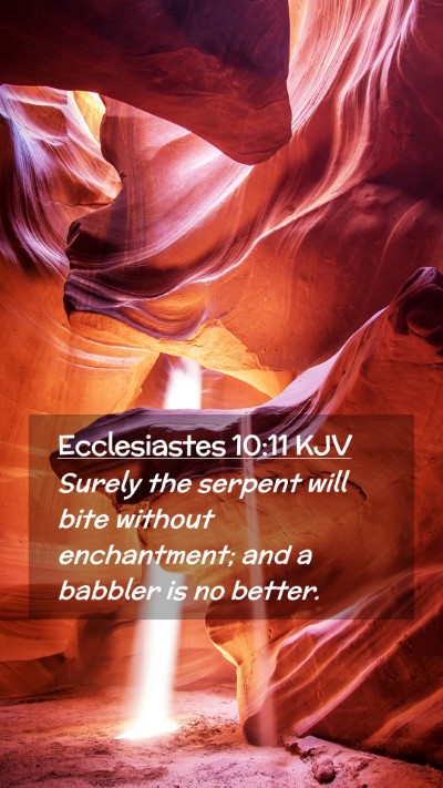 Picture 02 - Ecclesiastes 10:11 KJV Mobile Phone Wallpaper - Surely the serpent will bite without enchantment; - Mobile Bible Verse Wallpaper