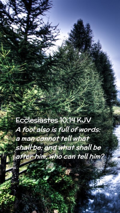 Picture 02 - Ecclesiastes 10:14 KJV Mobile Phone Wallpaper - A fool also is full of words: a man cannot tell - Mobile Bible Verse Wallpaper