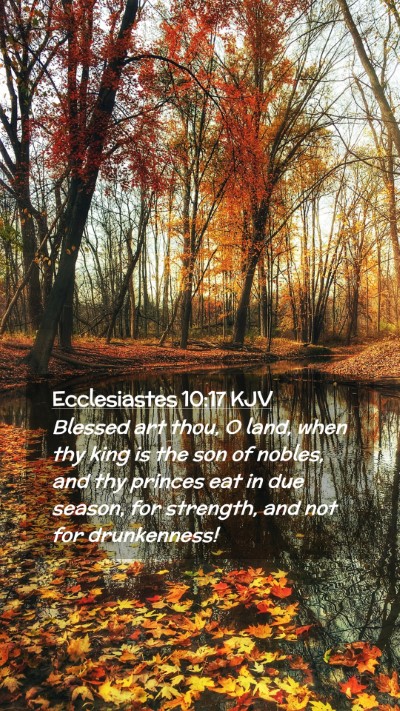 Picture 02 - Ecclesiastes 10:17 KJV Mobile Phone Wallpaper - Blessed art thou, O land, when thy king is the - Mobile Bible Verse Wallpaper