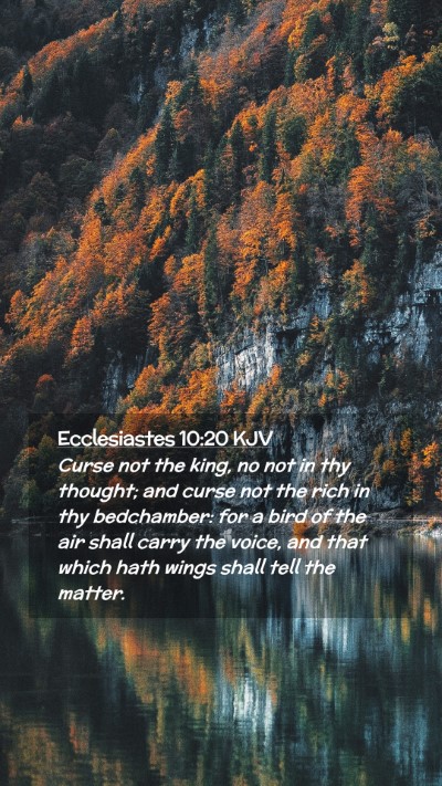 Picture 02 - Ecclesiastes 10:20 KJV Mobile Phone Wallpaper - Curse not the king, no not in thy thought; and - Mobile Bible Verse Wallpaper