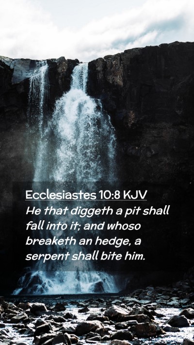Picture 02 - Ecclesiastes 10:8 KJV Mobile Phone Wallpaper - He that diggeth a pit shall fall into it; and - Mobile Bible Verse Wallpaper