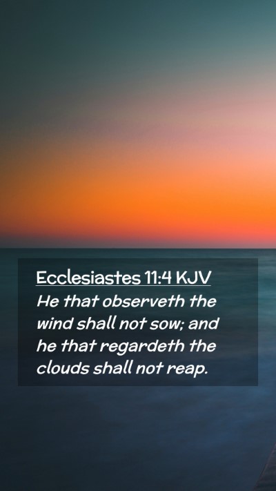 Picture 02 - Ecclesiastes 11:4 KJV Mobile Phone Wallpaper - He that observeth the wind shall not sow; and he - Mobile Bible Verse Wallpaper