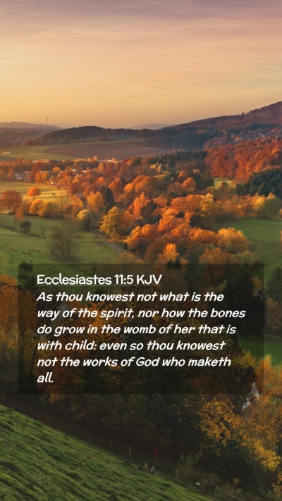 Picture 02 - Ecclesiastes 11:5 KJV Mobile Phone Wallpaper - As thou knowest not what is the way of the - Mobile Bible Verse Wallpaper