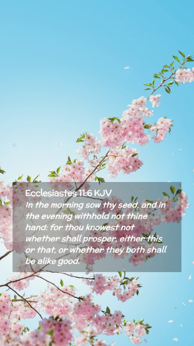 Picture 02 - Ecclesiastes 11:6 KJV Mobile Phone Wallpaper - In the morning sow thy seed, and in the evening - Mobile Bible Verse Wallpaper