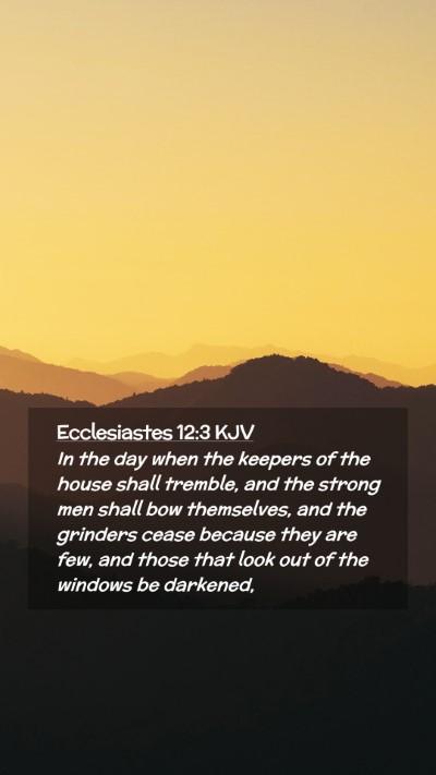 Picture 02 - Ecclesiastes 12:3 KJV Mobile Phone Wallpaper - In the day when the keepers of the house shall - Mobile Bible Verse Wallpaper