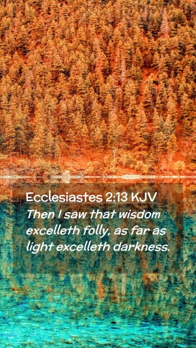 Picture 02 - Ecclesiastes 2:13 KJV Mobile Phone Wallpaper - Then I saw that wisdom excelleth folly, as far as - Mobile Bible Verse Wallpaper