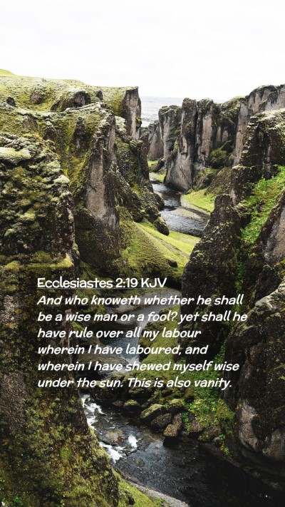 Picture 02 - Ecclesiastes 2:19 KJV Mobile Phone Wallpaper - And who knoweth whether he shall be a wise man or - Mobile Bible Verse Wallpaper