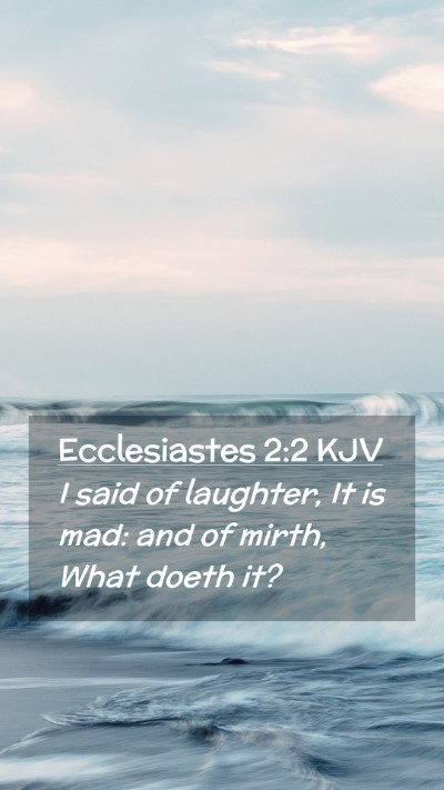 Picture 02 - Ecclesiastes 2:2 KJV Mobile Phone Wallpaper - I said of laughter, It is mad: and of mirth, What - Mobile Bible Verse Wallpaper