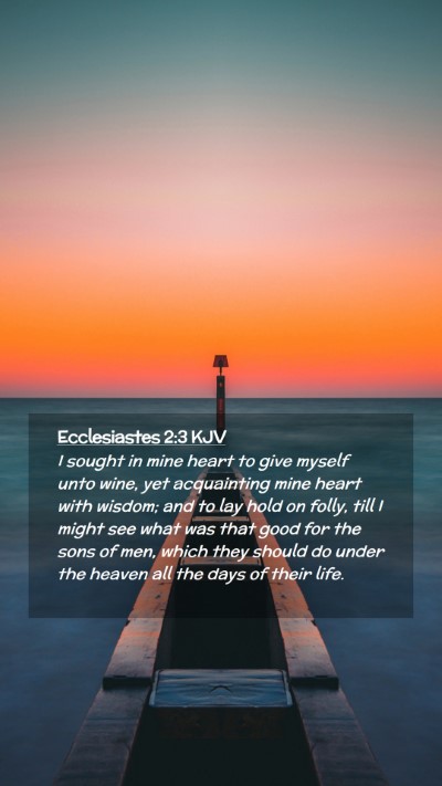 Picture 02 - Ecclesiastes 2:3 KJV Mobile Phone Wallpaper - I sought in mine heart to give myself unto wine, - Mobile Bible Verse Wallpaper