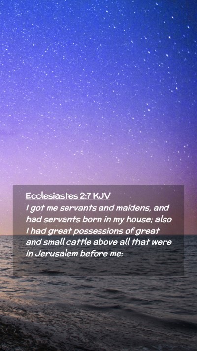 Picture 02 - Ecclesiastes 2:7 KJV Mobile Phone Wallpaper - I got me servants and maidens, and had servants - Mobile Bible Verse Wallpaper