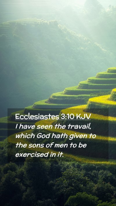 Picture 02 - Ecclesiastes 3:10 KJV Mobile Phone Wallpaper - I have seen the travail, which God hath given to - Mobile Bible Verse Wallpaper