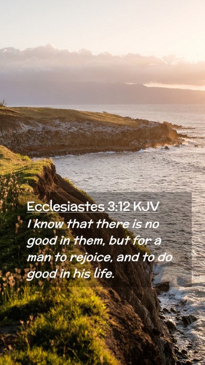 Picture 02 - Ecclesiastes 3:12 KJV Mobile Phone Wallpaper - I know that there is no good in them, but for a - Mobile Bible Verse Wallpaper