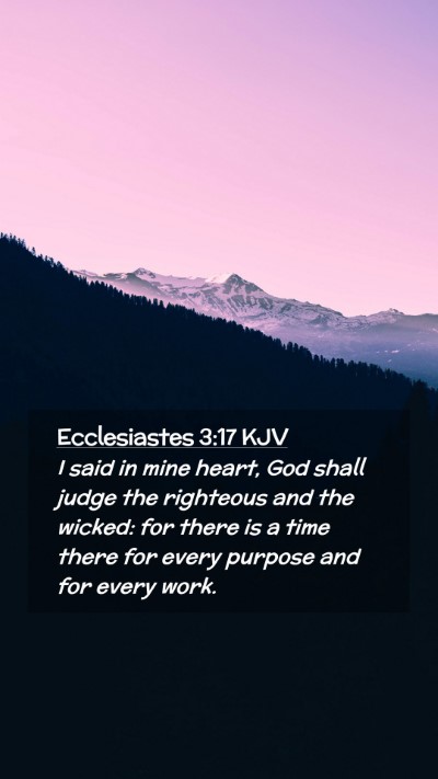Picture 02 - Ecclesiastes 3:17 KJV Mobile Phone Wallpaper - I said in mine heart, God shall judge the - Mobile Bible Verse Wallpaper