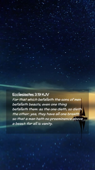 Picture 02 - Ecclesiastes 3:19 KJV Mobile Phone Wallpaper - For that which befalleth the sons of men - Mobile Bible Verse Wallpaper